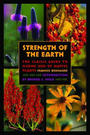 Strength of the Earth