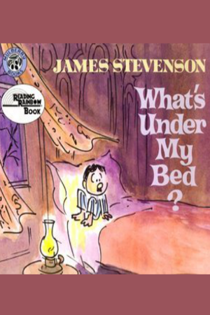 What's Under My Bed?